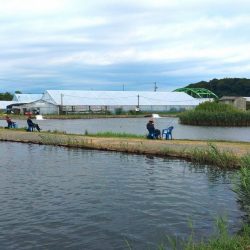 アマゾンの怪魚にチャレンジ！